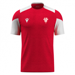 T-shirt sport Golem Homme